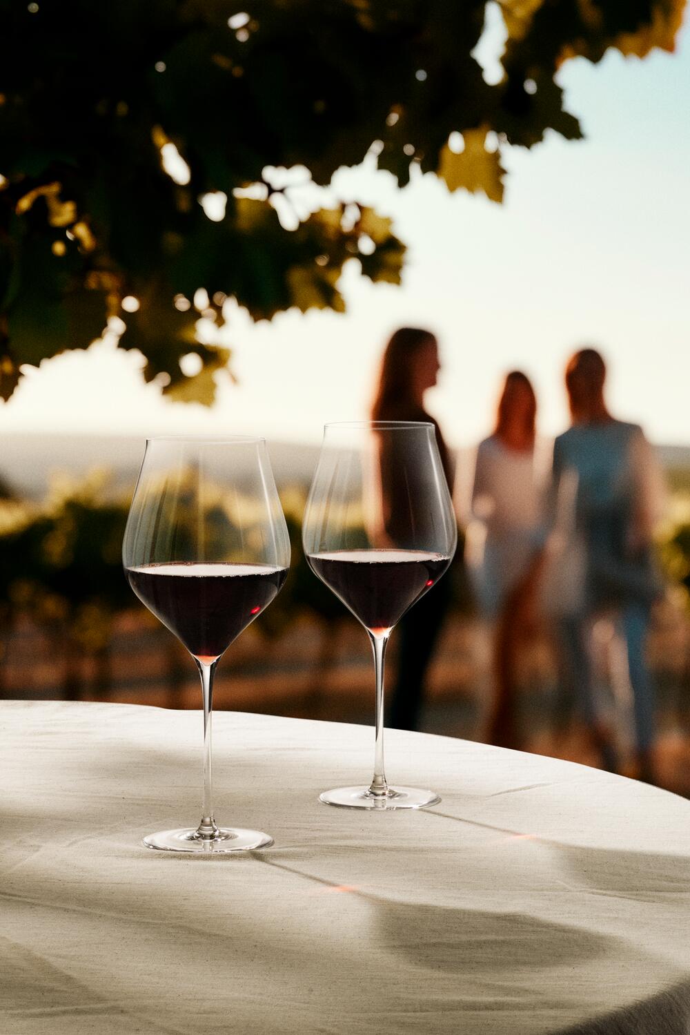 Notes rødvinsglas, 81 cl - 2 stk